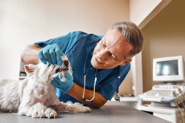 Best Emergency Wisdom Teeth Removal in Emory, TX